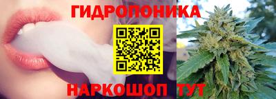 ГАЛЛЮЦИНОГЕННЫЕ ГРИБЫ Магадан