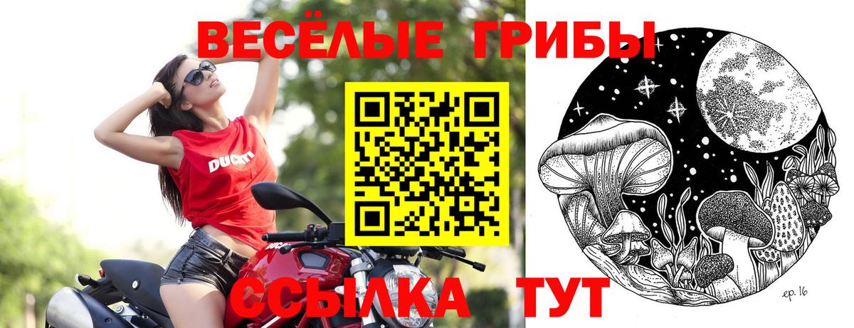 Галлюциногенные грибы прущие грибы Батайск