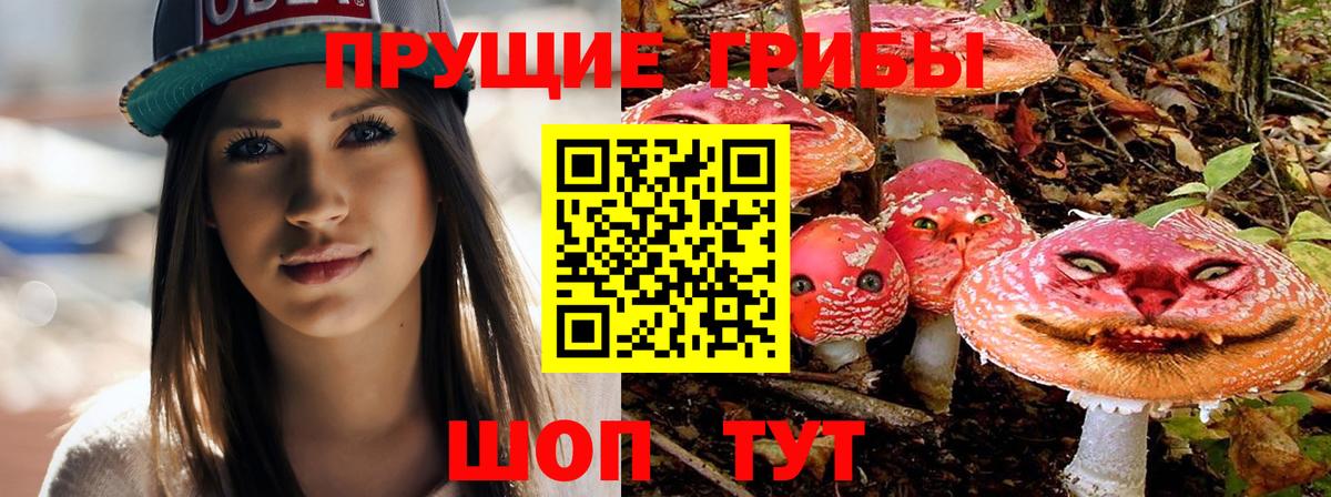 A-PVP Батайск